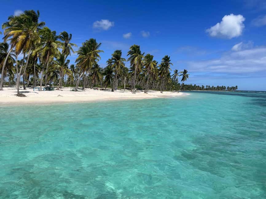 From Santo Domingo: Saona Island Day Trip with Lunch - Should You Book the Saona Island Day Trip With Lunch?