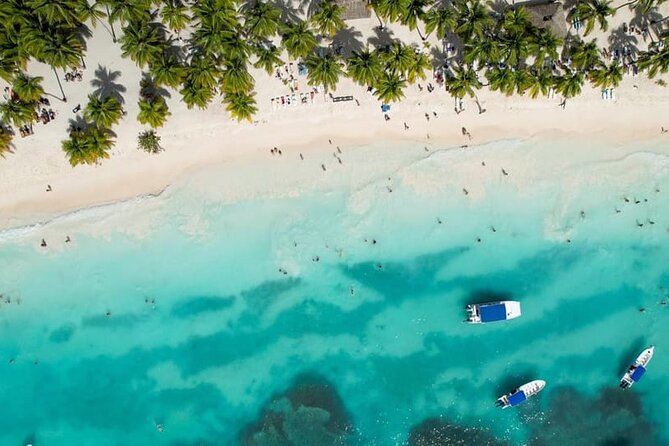 From Santo Domingo Saona Island Food And Drink Catamaran Vip - Key highlights worth planning around