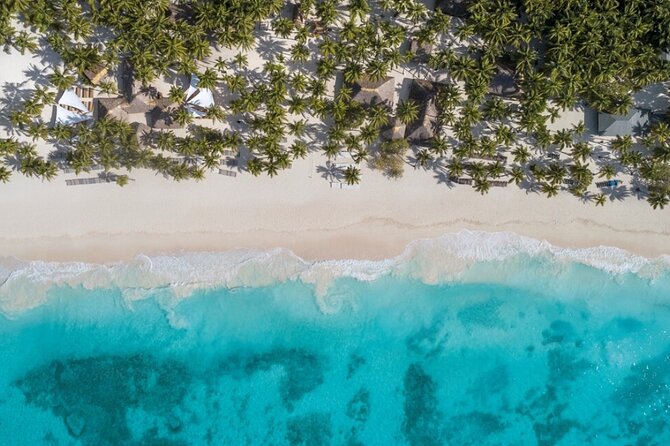 From Santo Domingo Saona Island Food And Drink Catamaran Vip - Price and logistics: how to judge the $95 decision