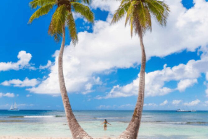 From Santo Domingo Saona Island Food And Drink Catamaran Vip - Who should book this Saona catamaran day trip
