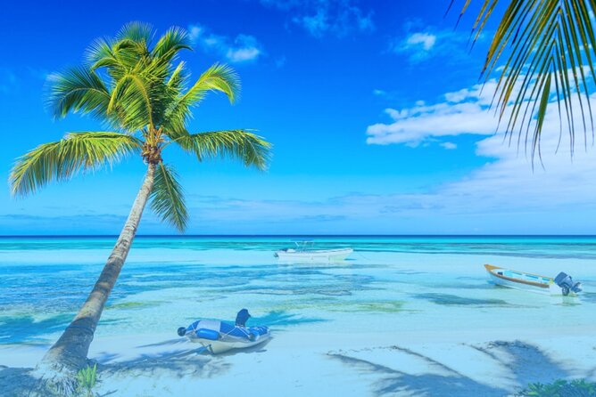 From Santo Domingo: Saona Island For Small Group Catamaran - Morning in Ciudad Colonial, then Bayahibe by catamaran