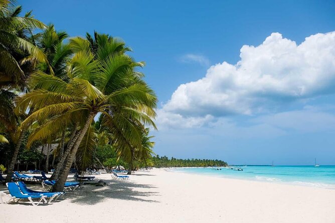 From Santo Domingo: Saona Island For Small Group Catamaran - Price and value: does $105.61 make sense?