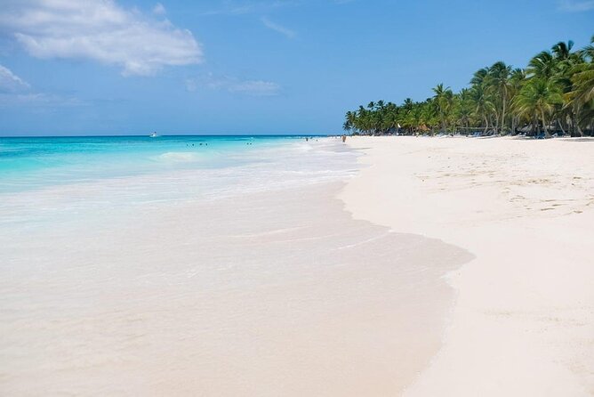 From Santo Domingo: Saona Island For Small Group Catamaran - Who this Saona day trip is best for