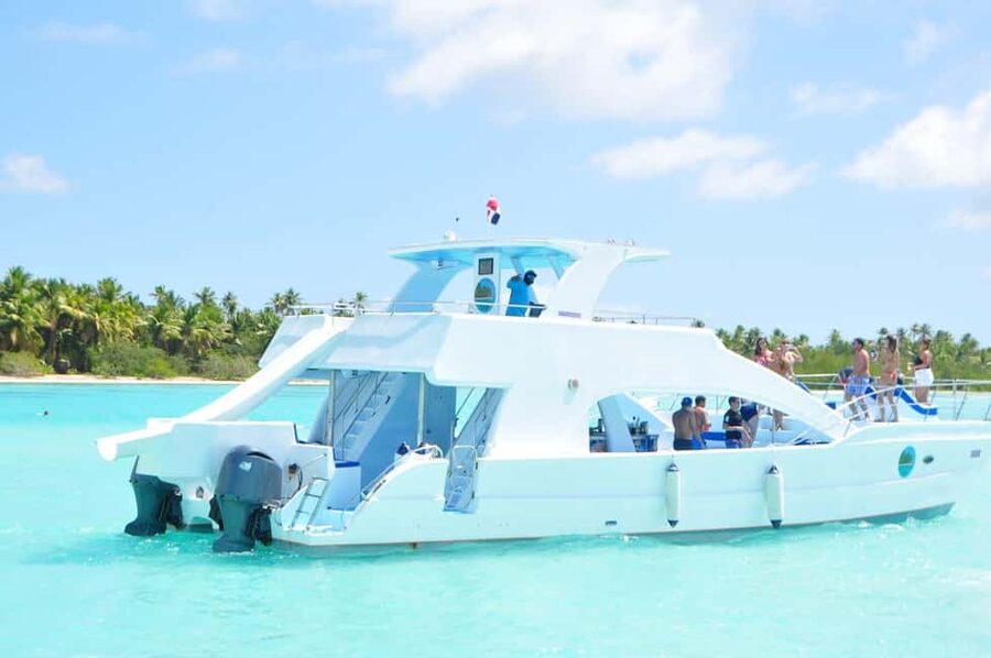 From Santo Domingo: Whale Watching & Cayo Levantado - The boat cruise: whale watching that stays focused on viewing