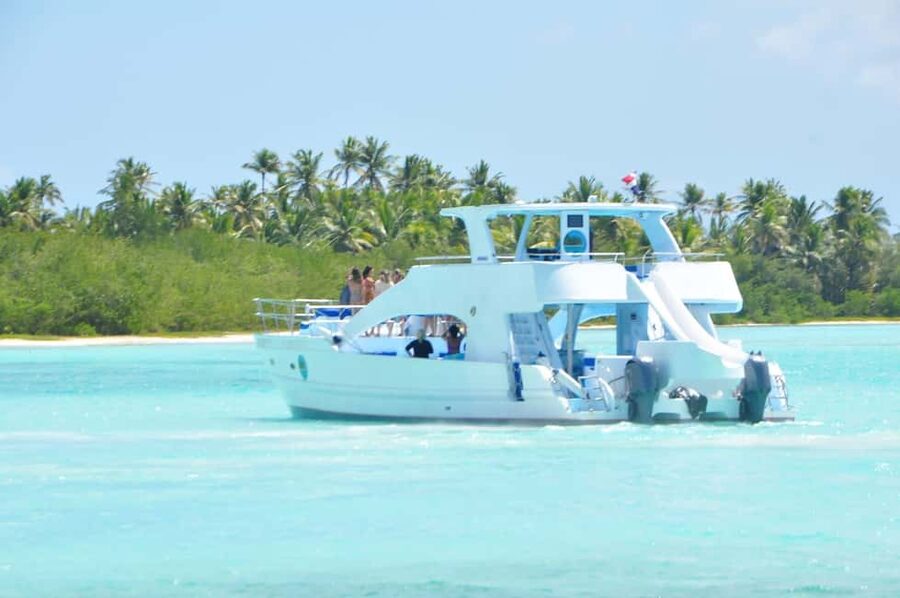 From Santo Domingo: Whale Watching & Cayo Levantado - The price and what you actually get for your money