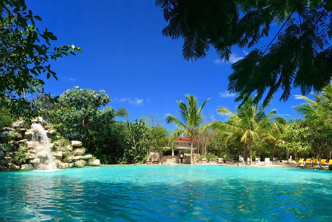 Full Access To Bavaro Adventure Park - With Buggys & Lunch - Zipline Circuit With a Water Finale: The 6-Run Route