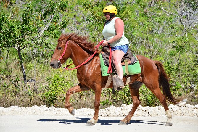 Full Access To Bavaro Adventure Park - With Buggys & Lunch - Horses in Nature: A Calm Interlude That Still Feels Like Adventure