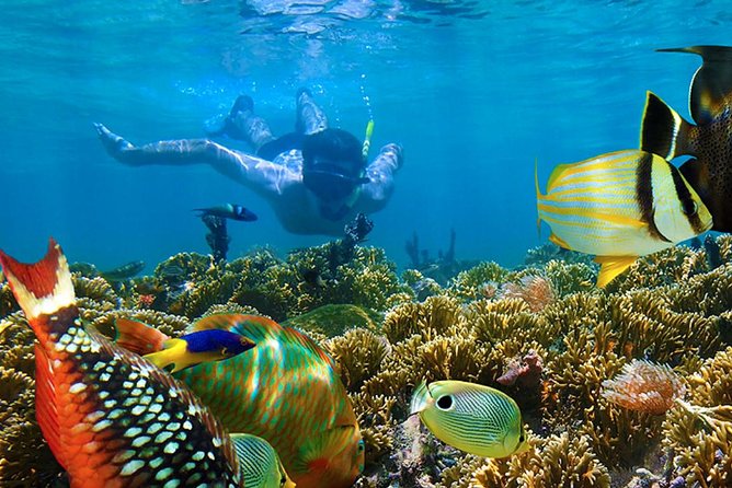 Full-Day Adventure: 4x4 Experience, Snorkeling Cruise, Sharks & Rays - Punta Cana Marina and Waiting Time That Usually Feels Longer Than It Is