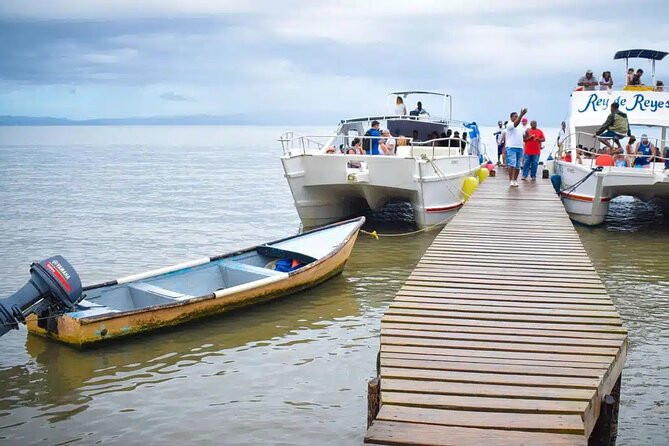 Full Day Bacardi Whale Watching - End Season March 30th - Transportation and timing: fewer moving parts, more time to enjoy