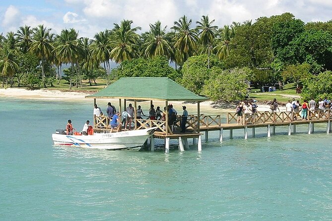 Full Day Bacardi Whale Watching - End Season March 30th - Who this tour suits best, and who should think twice