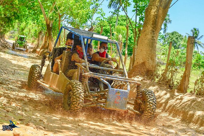 Full-day Buggy & Party Boat tour: snorkel, open bar, cave pool - Key highlights to know before you go