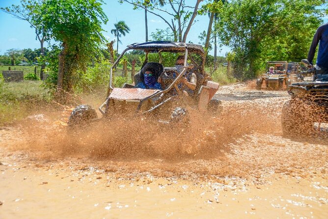 Full-day Buggy & Party Boat tour: snorkel, open bar, cave pool - Coffee plantation tastings: a small stop that adds a lot