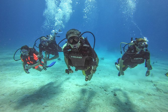 Full-Day Catalina Island Scuba Diving Tour from La Romana - Quick Catalina facts that matter for your day