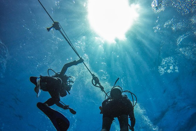 Full-Day Catalina Island Scuba Diving Tour from La Romana - The catamaran, the speed-boat, and the logistics gap you should plan for