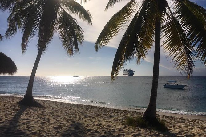 Full-Day Catalina Island Scuba Diving Tour from La Romana - Who should book this Catalina Island scuba tour from La Romana?