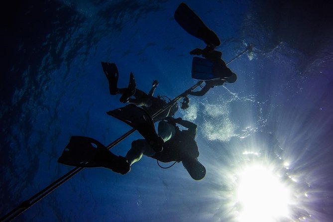 Full-Day Catalina Island Scuba Diving Tour from Punta Cana - Price and value: what $130.50 really covers