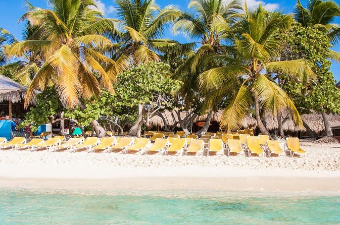 Full-Day Catalina Island Scuba Diving Tour from Punta Cana - Logistics reality check: transfers, timing, and a cold bus