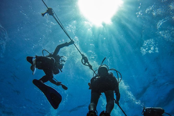 Full-Day Catalina Island Scuba Diving Tour from Punta Cana - Underwater Stop One at The Wall: mixed depths and reef favorites