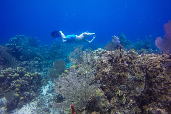 Full-Day Catalina Island Snorkeling Tour from Bavaro - Comfort and crowding: what to expect on busy days
