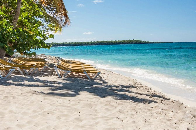 Full-Day Catalina Island Snorkeling Tour from La Romana - Snorkeling the Wall: where you’re most likely to see real life