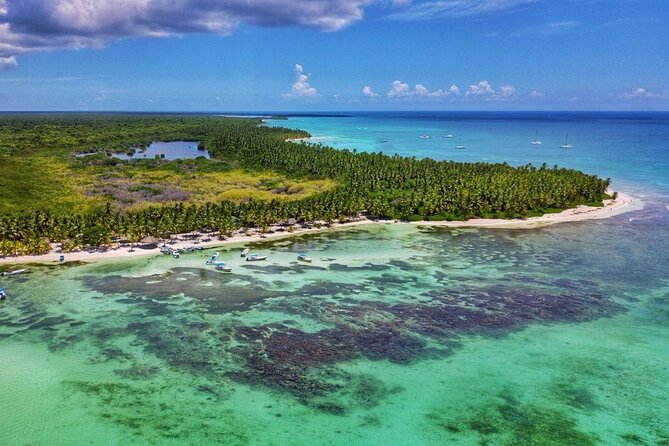Full-Day Cruise of Isla Saona from Santo Domingo with Lunch - Getting From Santo Domingo to Bayahibe, the Early-Day Reality
