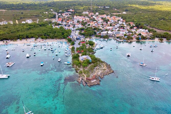 Full-Day Cruise of Isla Saona from Santo Domingo with Lunch - Isla Saona Beach Time: The Clear Water Payoff