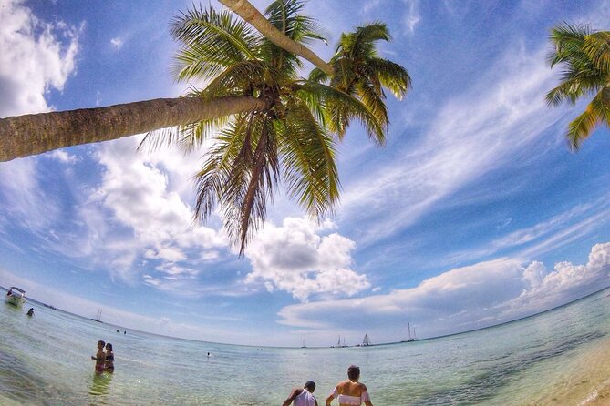 Full-Day Cruise of Isla Saona from Santo Domingo with Lunch - Should You Book This Full-Day Isla Saona Cruise?