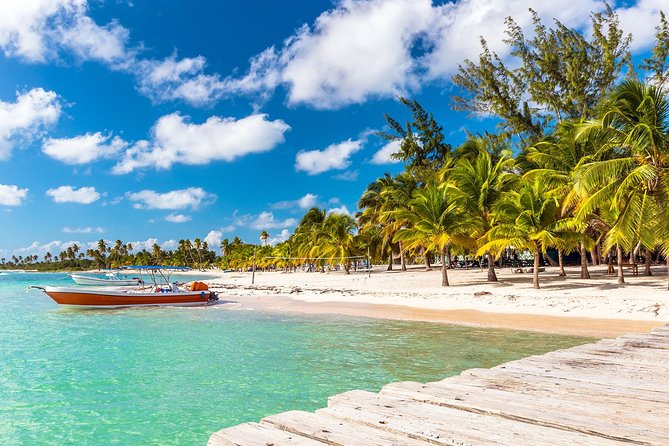 Full-Day Cruise to Saona Island - Natural Pool and Lunch - Playa Palmilla Natural Pool Stop: Shallow Water, Great Break