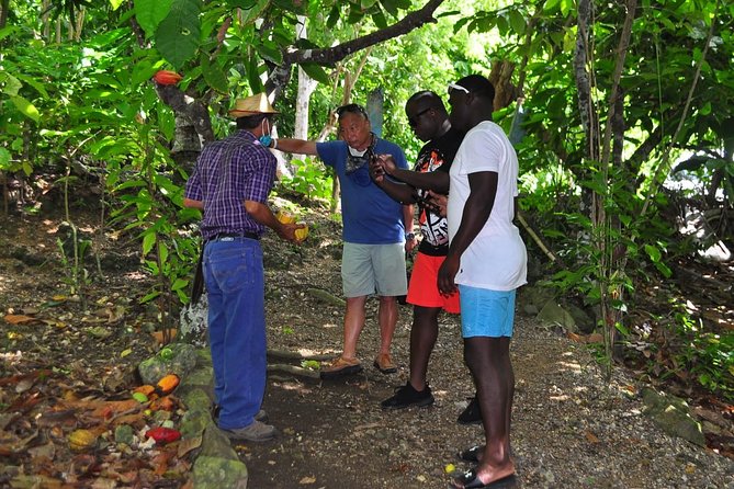 Full Day Eco Safari Adventure and Cultural Tour - Price and value: what $79.99 gets you, and how to judge if it is fair