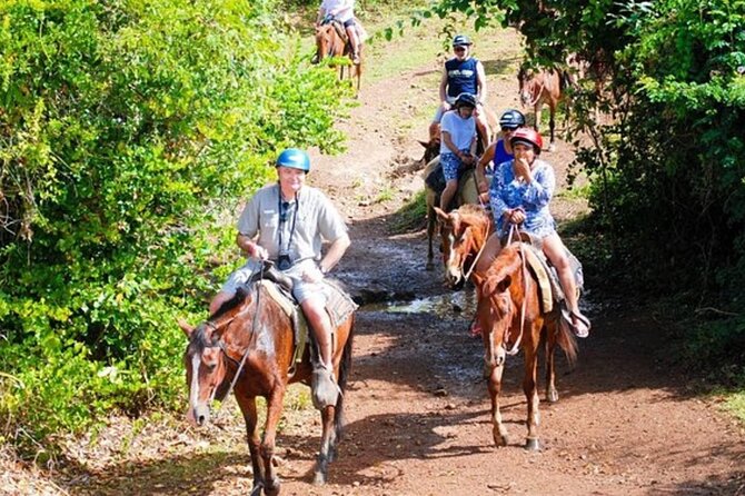 Full Day Eco Safari Adventure and Cultural Tour - Morning logistics that actually matter: pickup, timing, and how the day flows