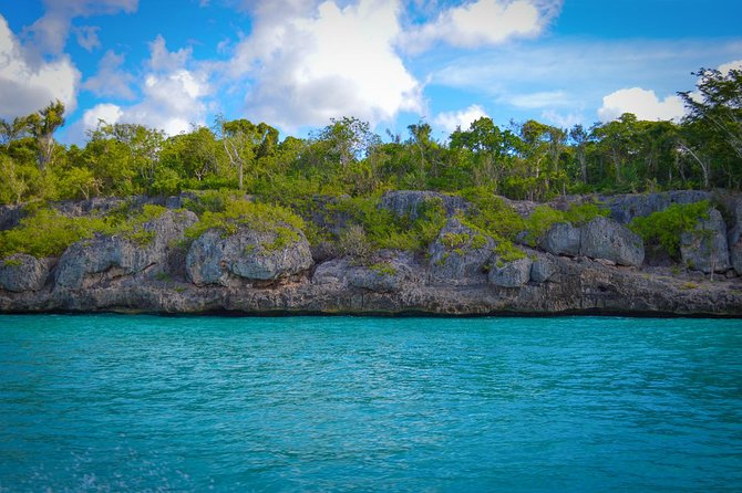 Full-Day Excursion in Saona Island - The party atmosphere: fun for some, not for everyone
