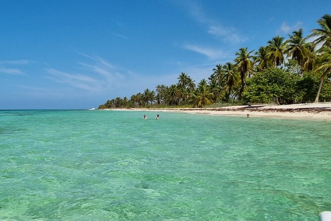 Full Day Island Tour in Isla Saona from Punta Cana - Isla Saona Beach Time and Beachside Buffet Lunch