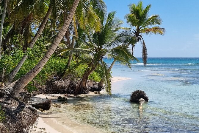 Full Day Island Tour in Isla Saona from Punta Cana - Open Bar on the Water and on Saona Island: Enjoy It, Then Pace Yourself