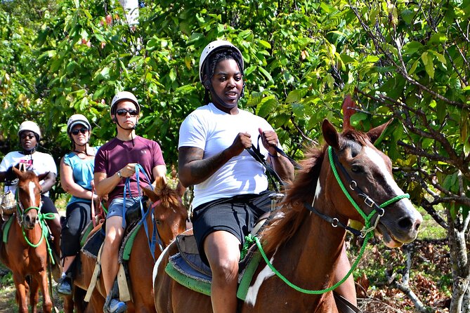 Full-Day La Hacienda Dune Buggy with Zipline & Horseback Activity - Lunch and the Dominican Meal Portion