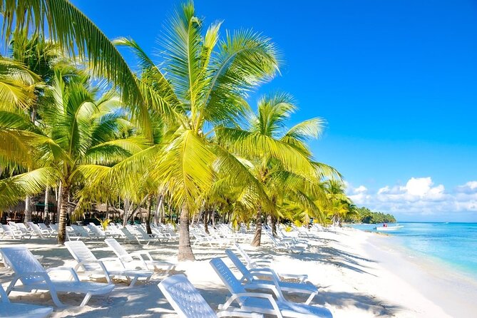 Full-Day Saona Island Escape – Beaches, Adventure, Paradise Vibes - Saona Island Escape: what you are really buying for $99