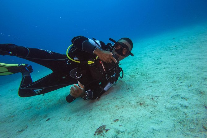 Full-Day Scuba Diving Catalina Island Tour from Bavaro - Who should book this Catalina Island scuba day trip?