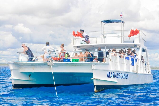 Full Day Snorkeling in Catalina Island with Transportation and Lunch - Key Highlights Worth Noting