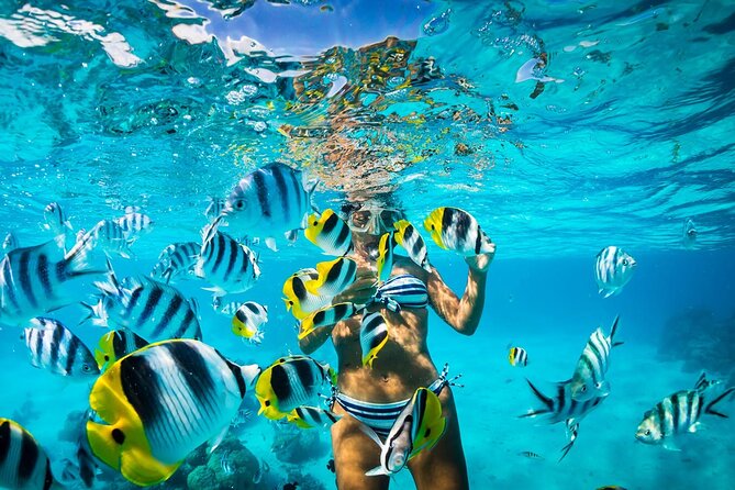 Full Day Snorkeling in Catalina Island with Transportation and Lunch - Aquarium-Style Underwater Activity: A Bonus If You Like Extras