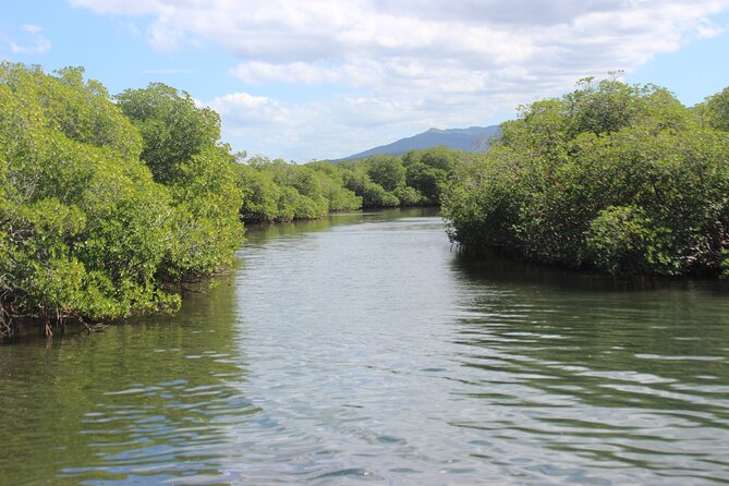 Full-Day Tour Isla Bonita Deluxe - Cayo Arena and La Isla Bonita: the snorkeling and coral reef payoff