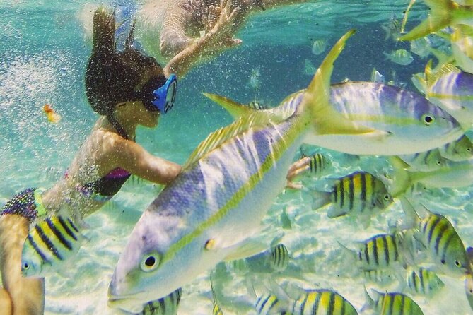 Full-Day Tour Isla Bonita Deluxe - Punta Rucia beach lunch: what you eat and why it feels like a reward