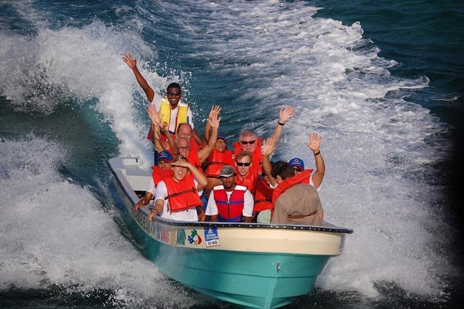Full Day Tour to Paradise Island - Cayo Arena - Punta Rucia speedboat transfer: fast, fun, and worth it