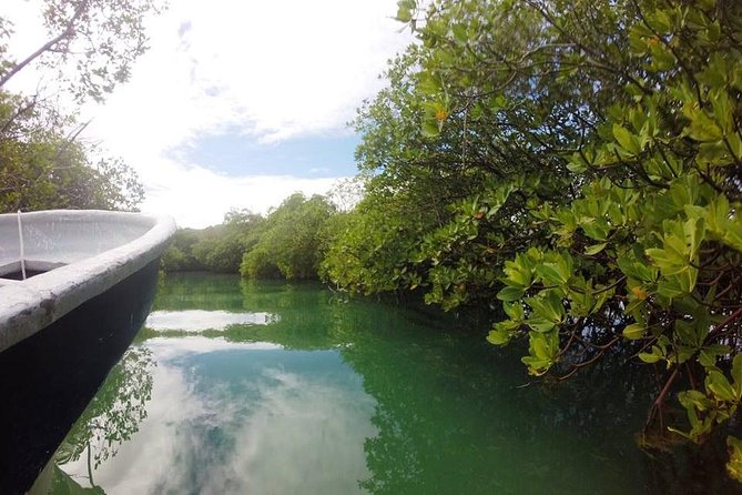 Full-Day Tour to Punta Rucia and Cayo Arena with Snorkeling - Comfort Checklist for a Speedboat and Snorkel Day