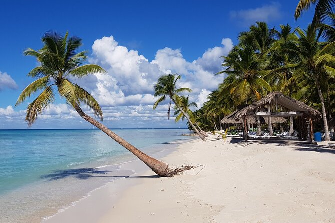 Full Day Tour to Saona Island by Catamaran and Speedboat - How the morning transfer and boat ride set up your Saona day