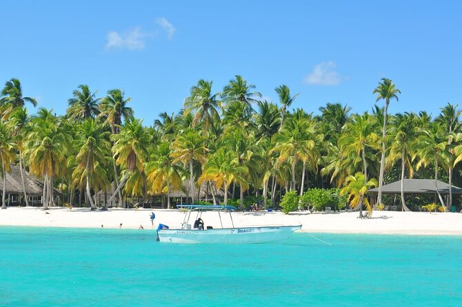 Full Day Tour to Saona Island by Catamaran and Speedboat - Buffet lunch on Saona, how to time your swim