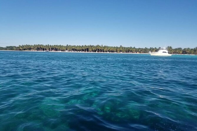 Full Day Tour to Saona Island by Catamaran and Speedboat - Starfish stop and the return trip vibe