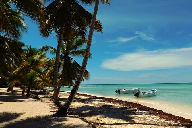 Full Day Tour to Saona Island by Catamaran and Speedboat - Isla Saona Beach Time, open bar, and that easy shell walk