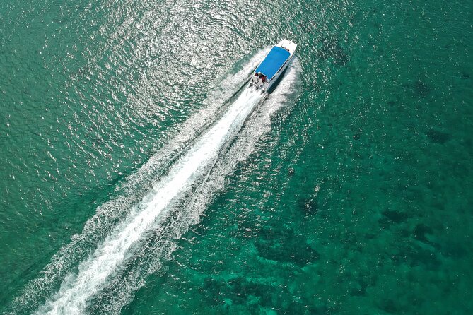 Full-Day Tour to Saona Island Sailing with Lunch and Beverages - Saona Island from Punta Cana, why this trip is so popular