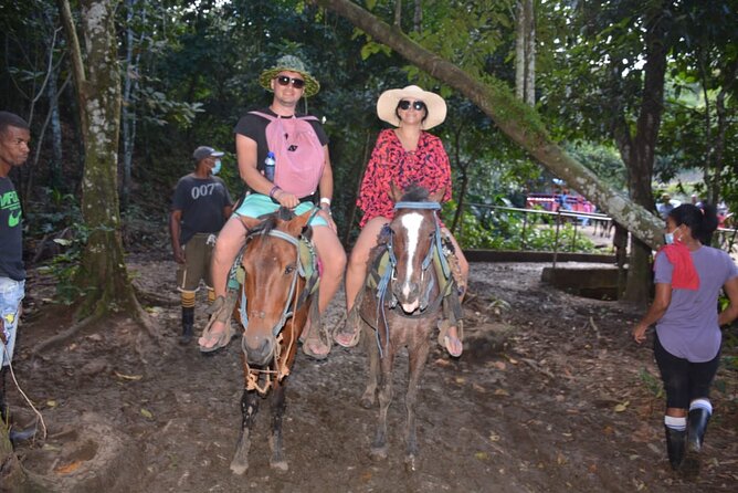 Full-Day Trip to Limon Waterfall and Bacardi Island - Price check: is $123.50 good value for this route?
