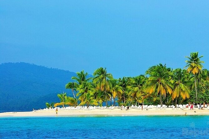 Full-day Whale watching Tour in Samana Bay from Punta Cana - Samaná Bay whale watching from Punta Cana: worth the early start?