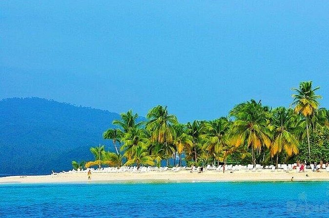 Full-day Whale watching Tour in Samana Bay from Punta Cana - Price and value of the $130 full-day combo